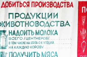 Советский плакат СССР - 'За что борется наш колхоз в 1956 году'