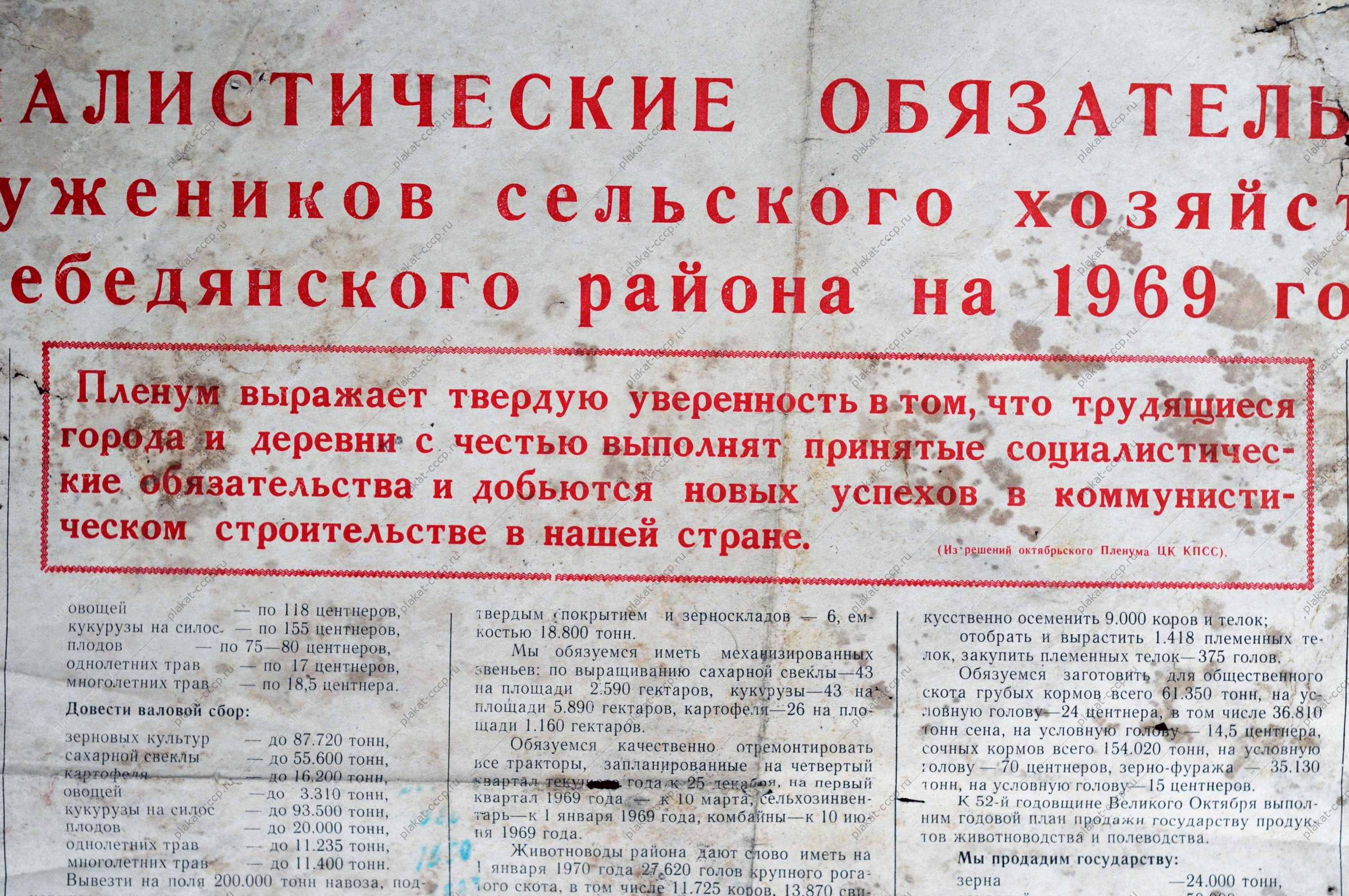 Пленум выражает твердую уверенность