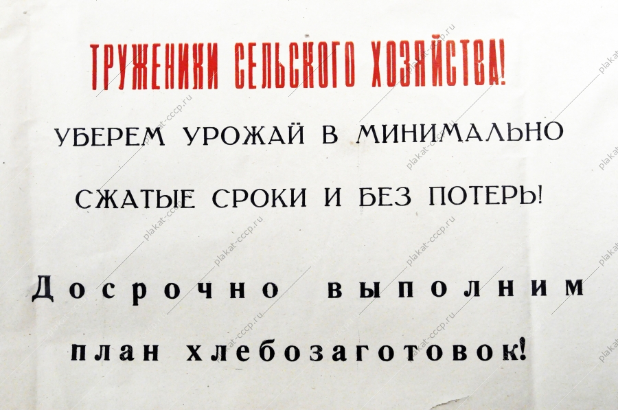 Плакат СССР (серия 50 лет советской власти) Труженики сельского хозяйства Уберем урожаи в минимально сжатые сроки и без потерь 1967 год