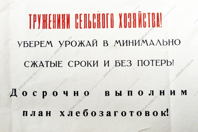 Плакат СССР (серия 50 лет советской власти) Труженики сельского хозяйства Уберем урожаи в минимально сжатые сроки и без потерь 1967 год