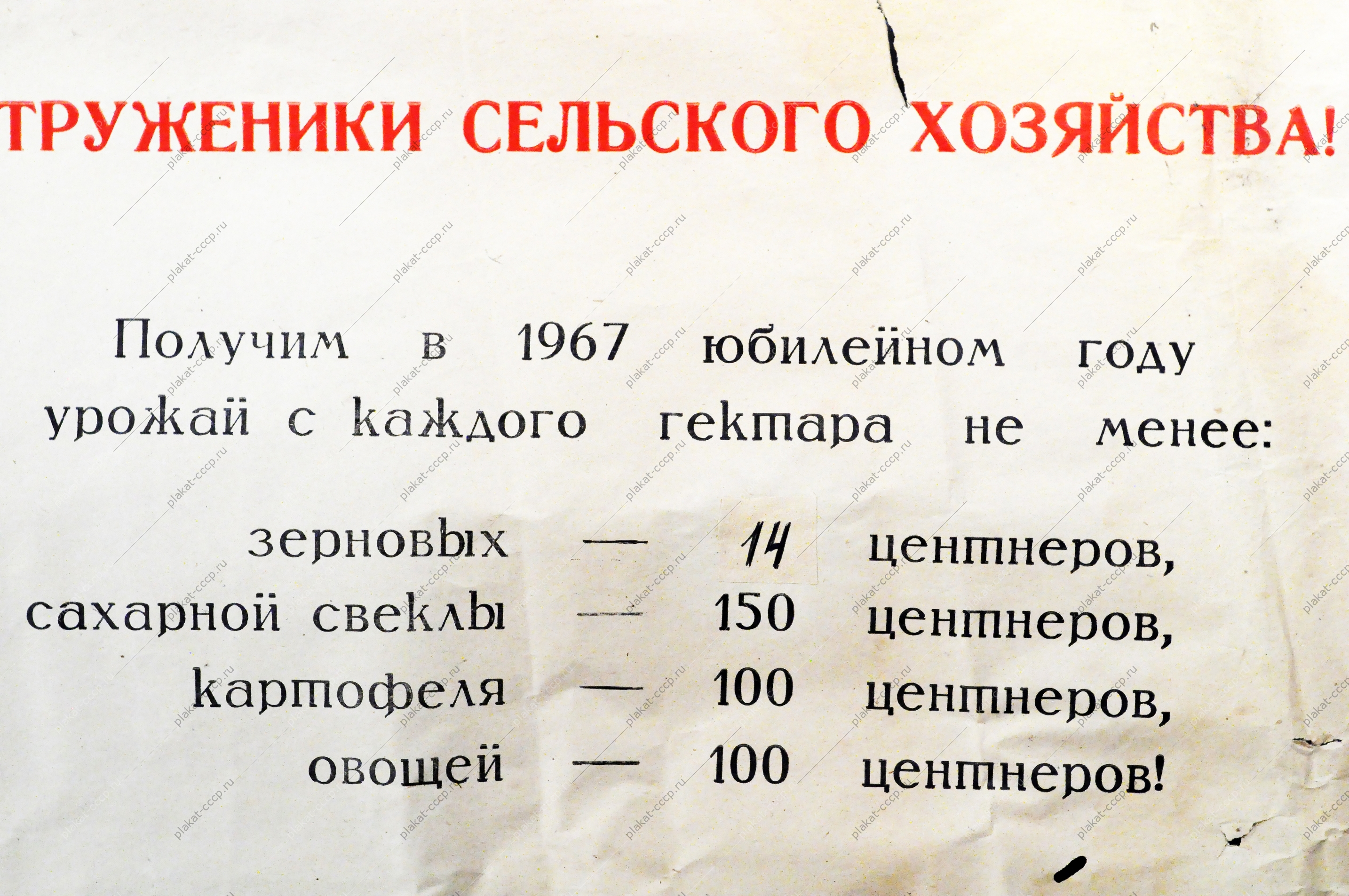 Плакат СССР (серия 50 лет советской власти) Труженики сельского хозяйства 1967 год