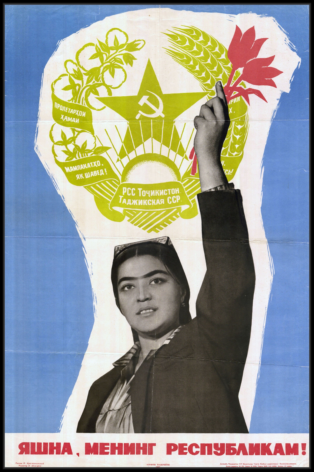 Фотография