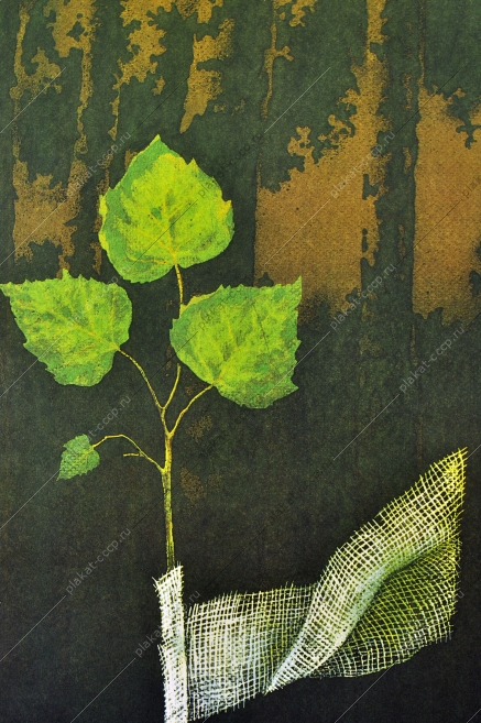 Оригинальный плакат СССР защита деревьев природы
