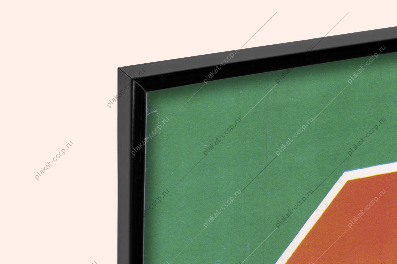 Оригинальный советский СССР всероссийское общество охраны природы 1977