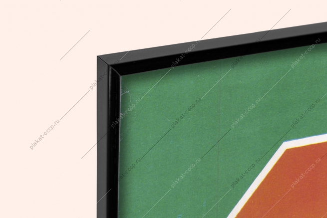 Оригинальный советский СССР всероссийское общество охраны природы 1977