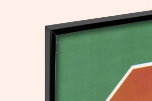 Оригинальный советский СССР всероссийское общество охраны природы 1977