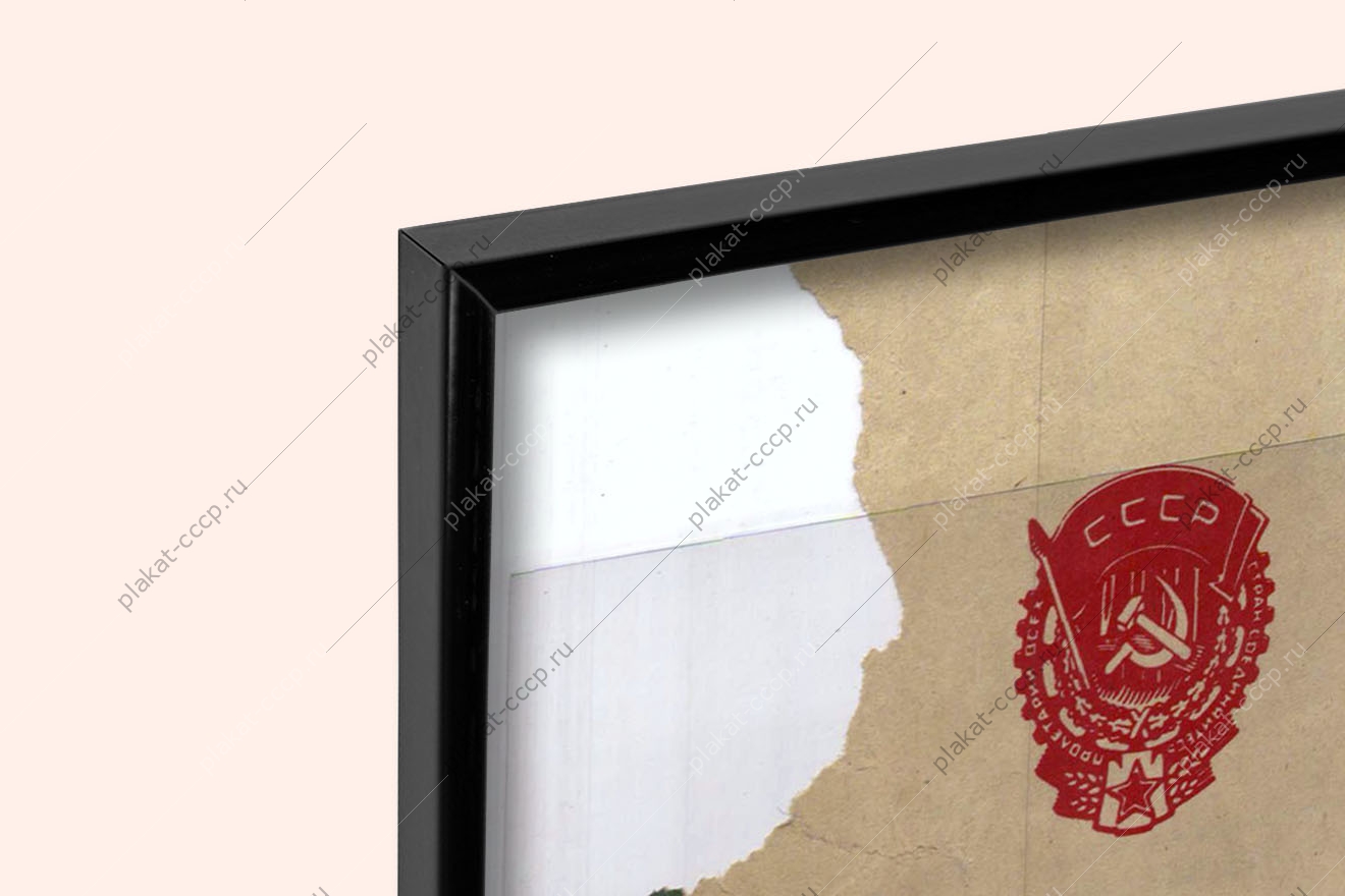 Оригинальный советский плакат общество охраны природы 1984