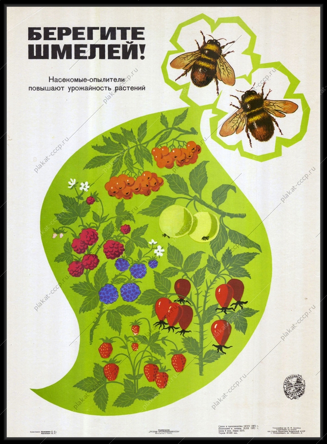 Оригинальный советский плакат шмели общество охраны природы насекомые 1972
