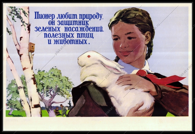 Оригинальный советский плакат выращивание кроликов защита природы и лесных насаждений
