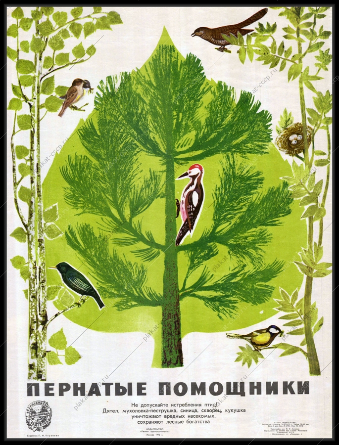 Оригинальный плакат СССР пернатые помощники не допускайте истребления птиц охрана птиц