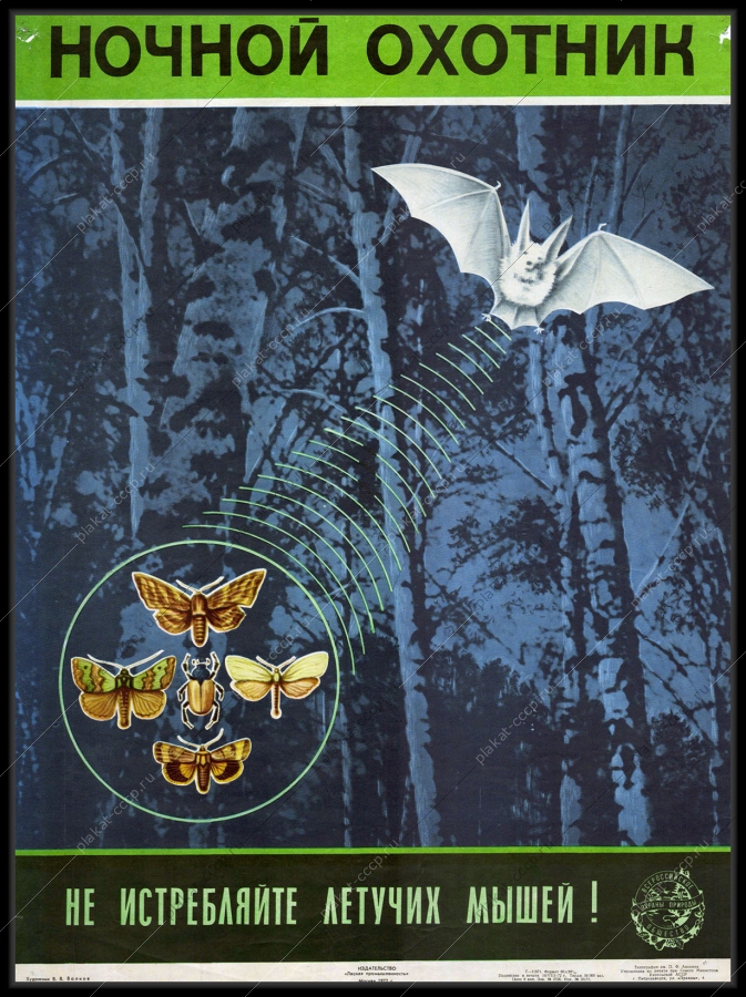 Оригинальный советский плакат не истребляйте летучих мышей защита окружающей среды
