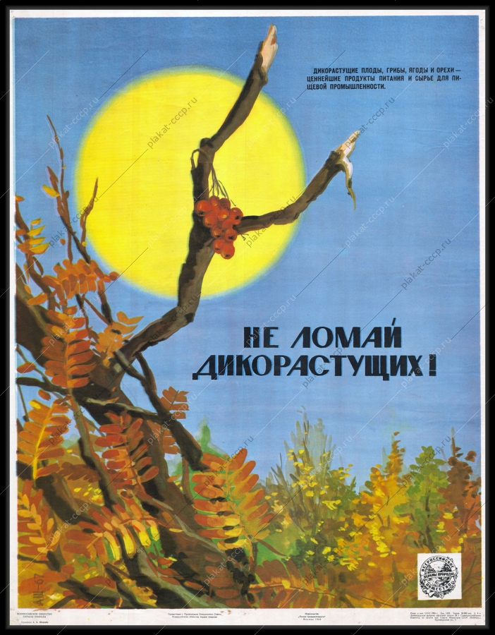 Оригинальный плакат СССР не ломай дикорастущих защита растений и лесных посадок