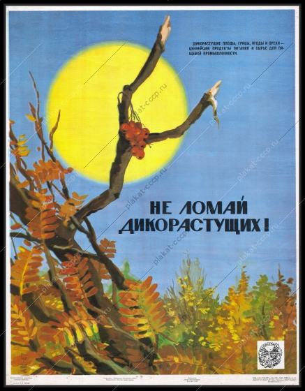 Оригинальный плакат СССР не ломай дикорастущих защита растений и лесных посадок