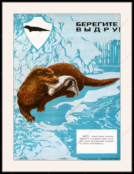 Оригинальный плакат СССР берегите выдру