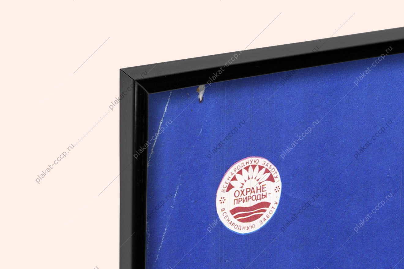Оригинальный плакат СССР берегите природу