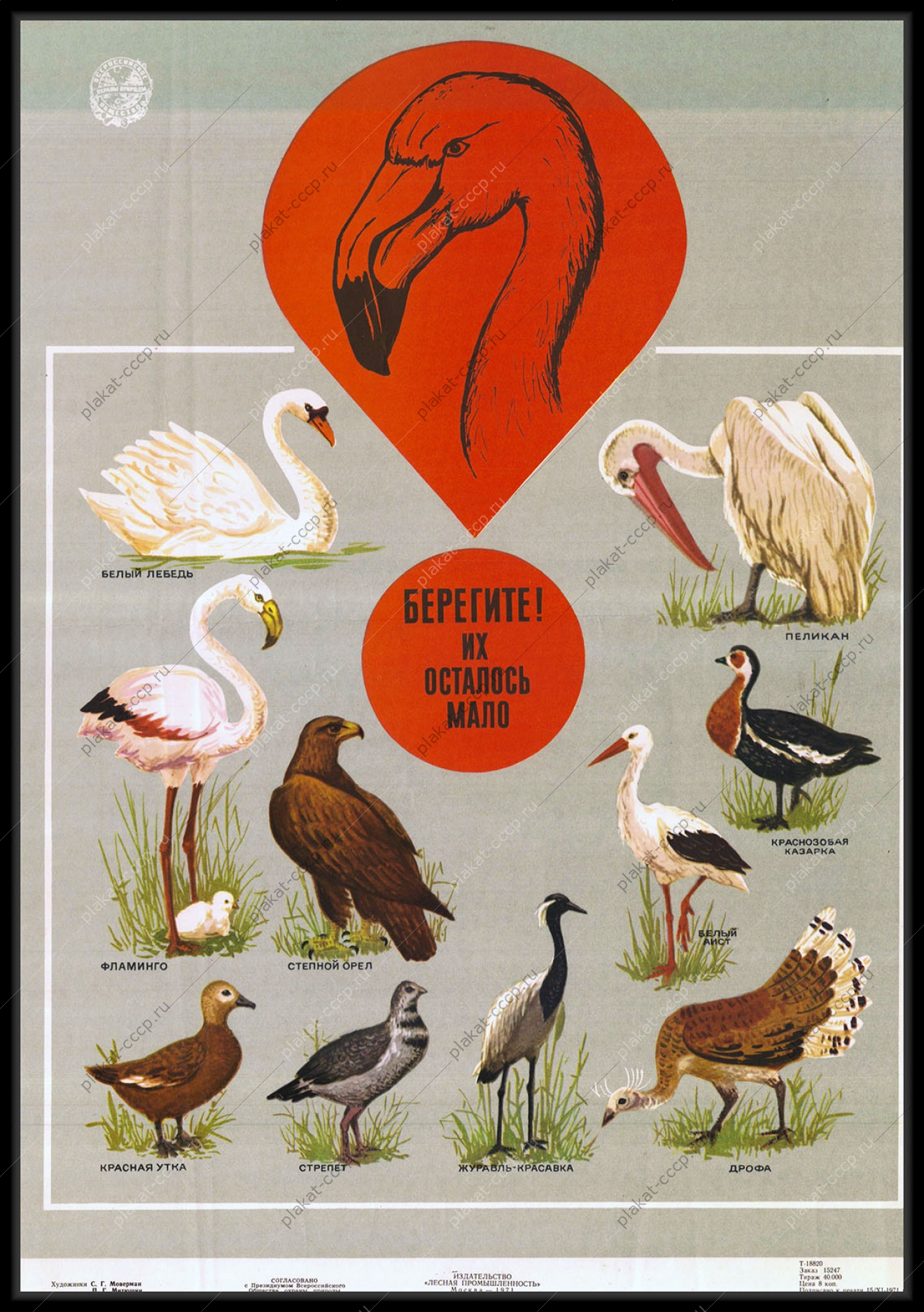 Оригинальный плакат СССР берегите птиц их осталось мало лебедь фламинго степной орел пеликан белый аист красная утка дрофа казарка стрепет журавль