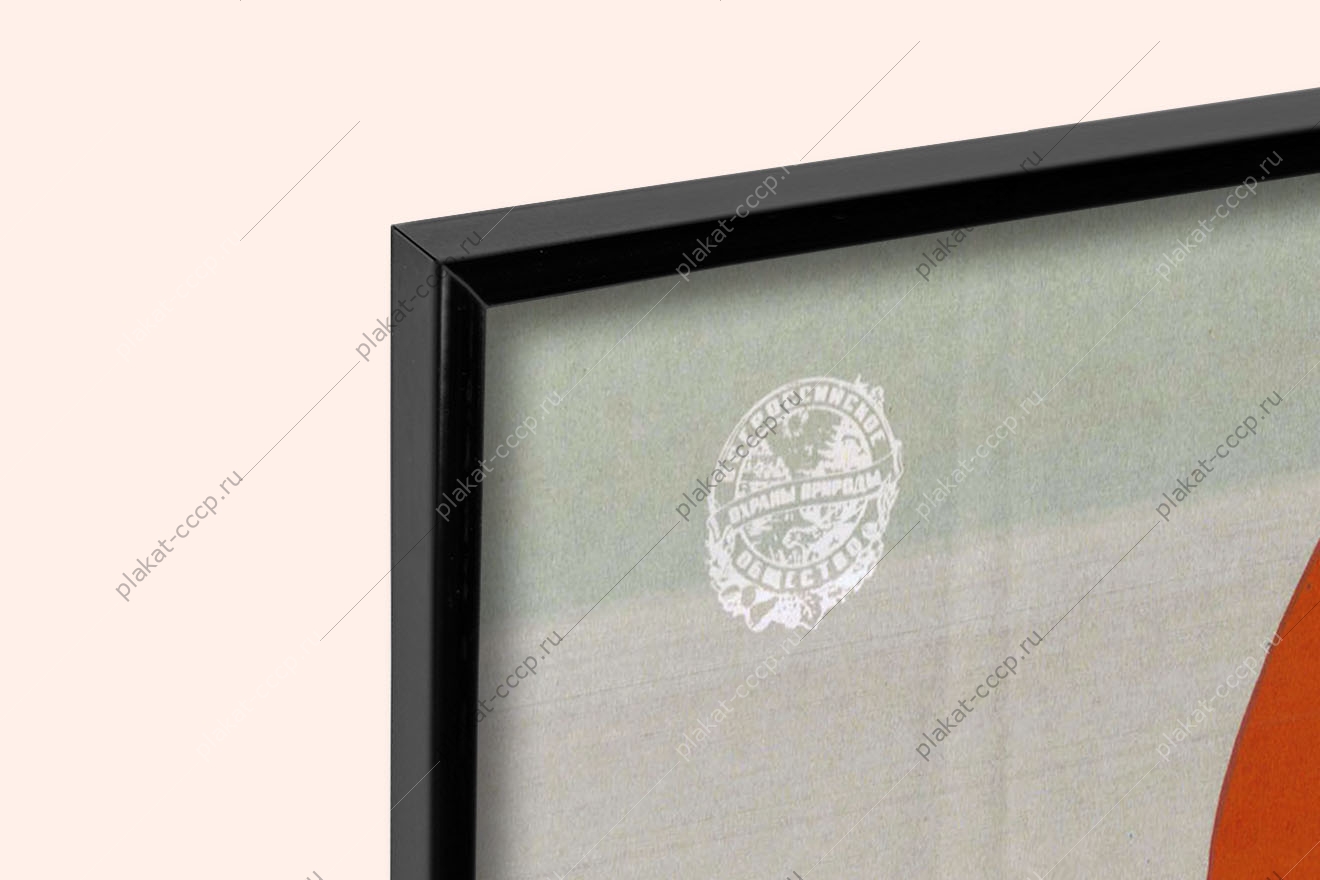 Оригинальный плакат СССР берегите птиц их осталось мало лебедь фламинго степной орел пеликан белый аист красная утка дрофа казарка стрепет журавль