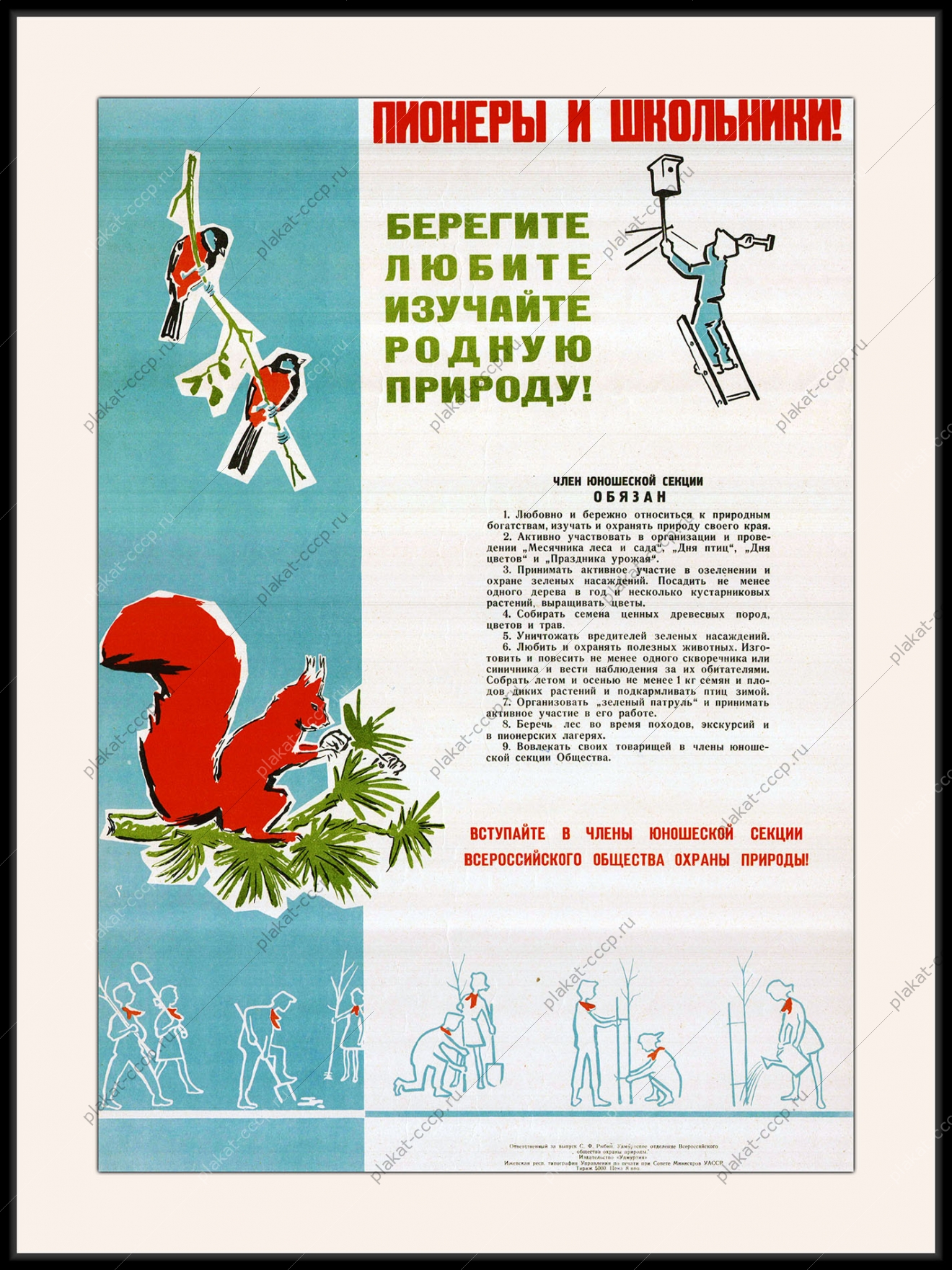 Оригинальный плакат СССР юношеская секция общества охраны природы