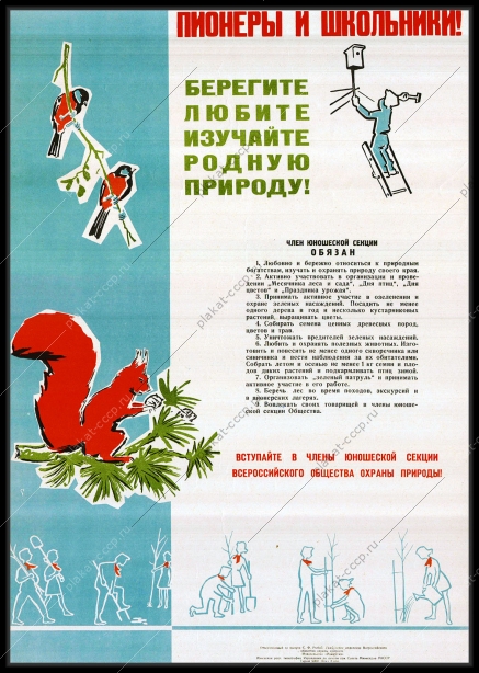 Оригинальный плакат СССР юношеская секция общества охраны природы