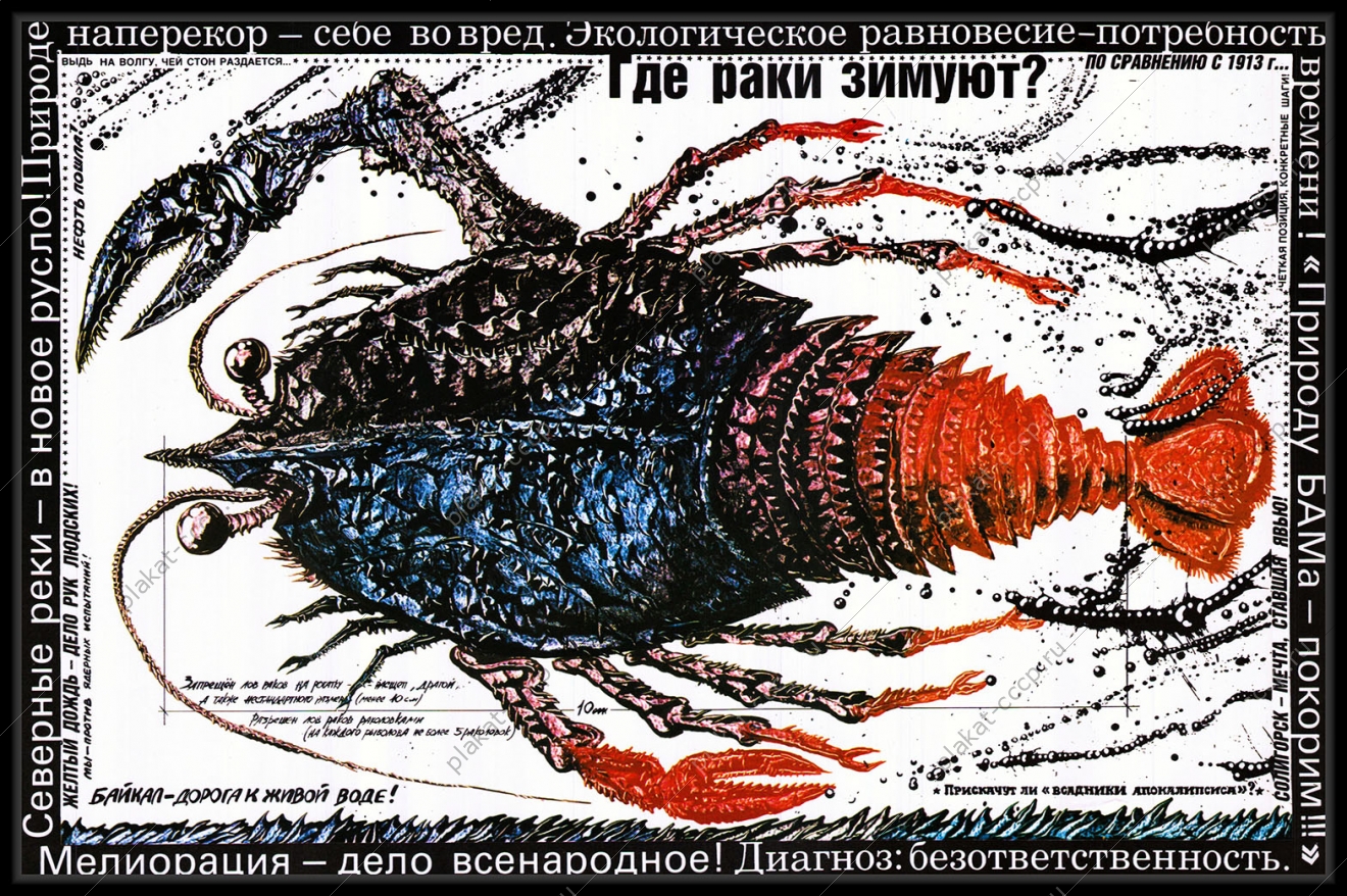 Оригинальный плакат СССР где раки зимуют лов раков Солигорск Байкал Северные реки природа БАМА экология охрана окружающей среды экологический советский плакат