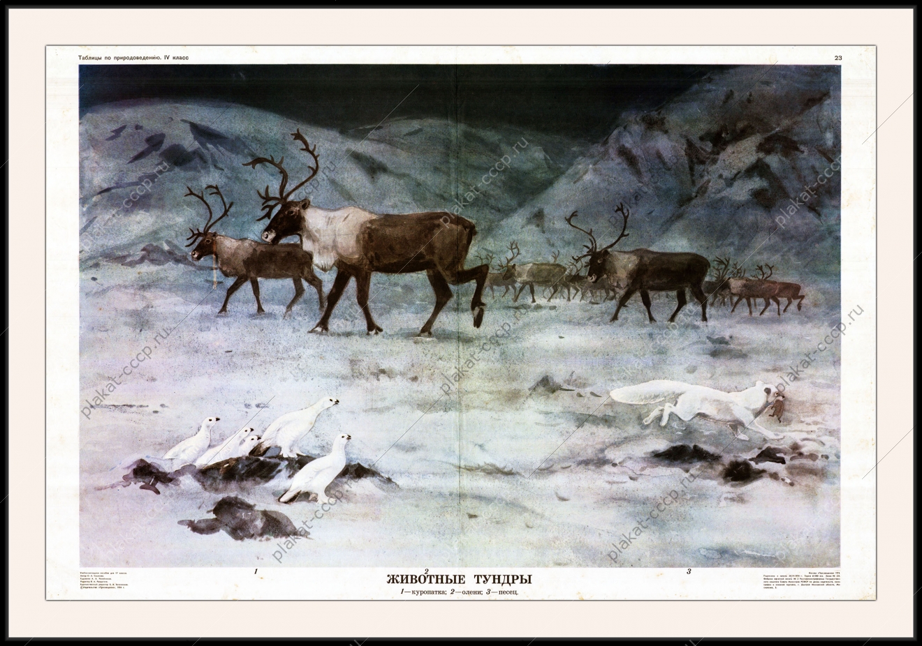 Оригинальный плакат СССР животные тундры Сибирь освоение Севера