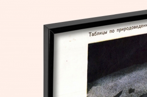 Оригинальный плакат СССР животные тундры Сибирь освоение Севера