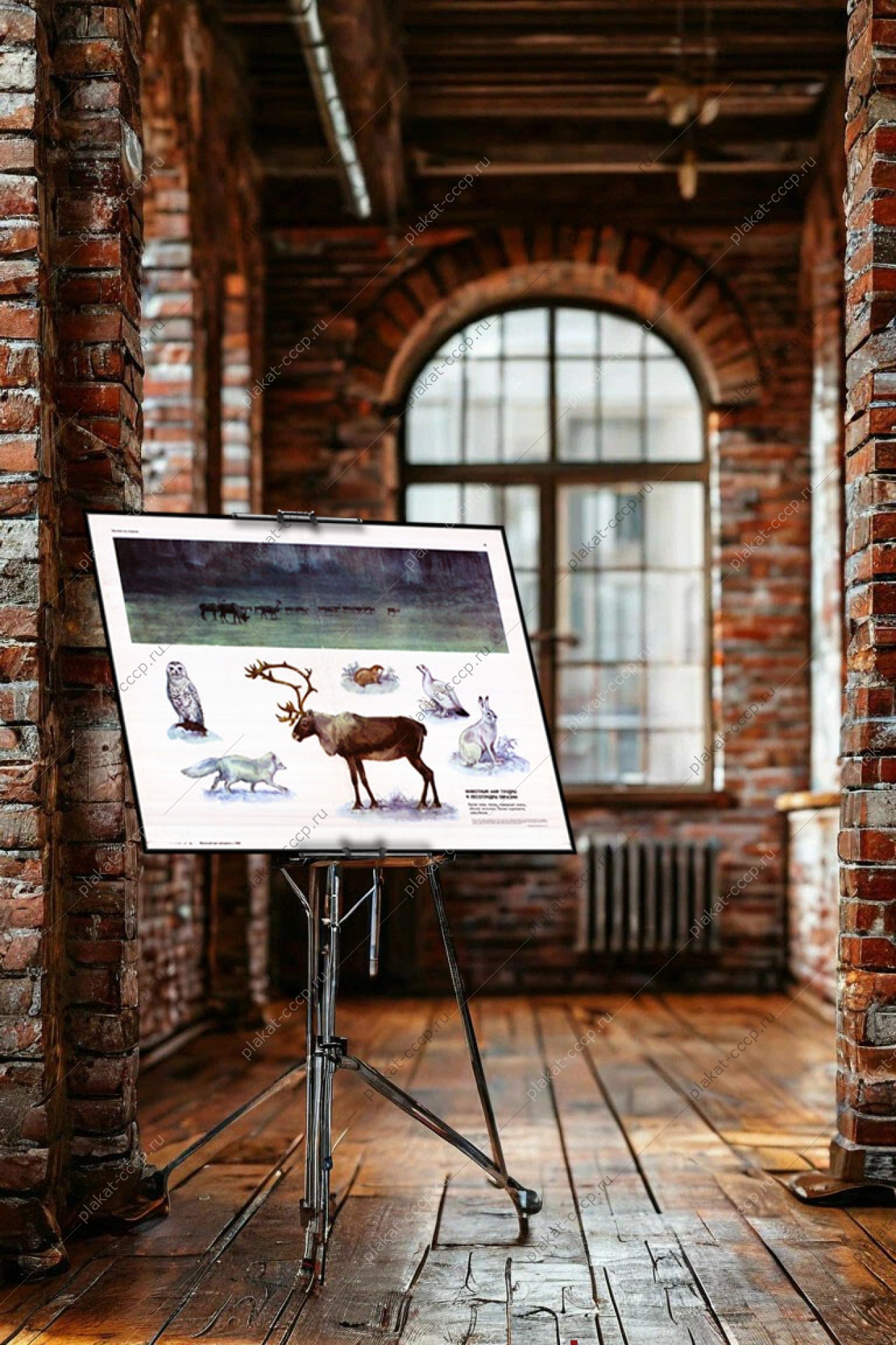 Оригинальный плакат СССР животный мир тундры и лесотундры Евразии