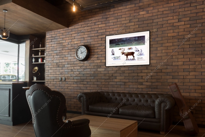 Оригинальный плакат СССР животный мир тундры и лесотундры Евразии