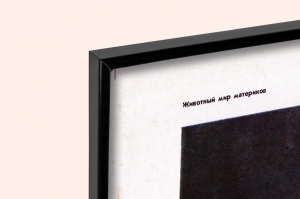 Оригинальный плакат СССР животный мир тундры и лесотундры Евразии