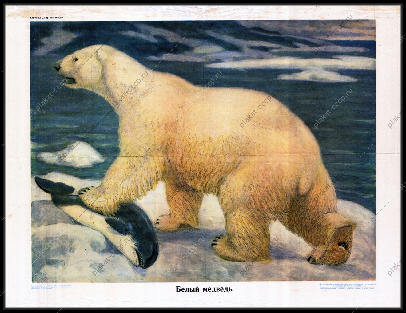 Оригинальный плакат СССР белый медведь Северный Полюс