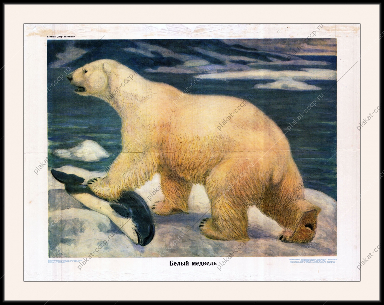 Оригинальный плакат СССР белый медведь Северный Полюс