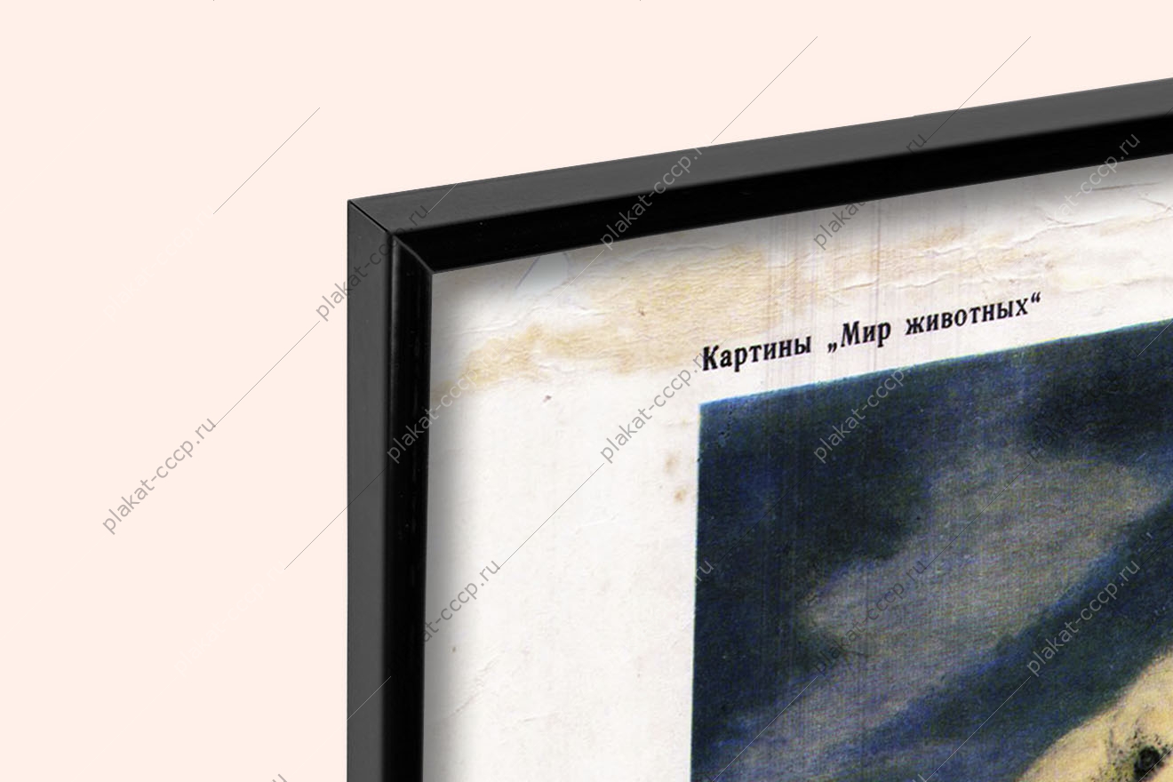 Оригинальный плакат СССР белый медведь Северный Полюс