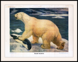 Оригинальный плакат СССР белый медведь Северный Полюс
