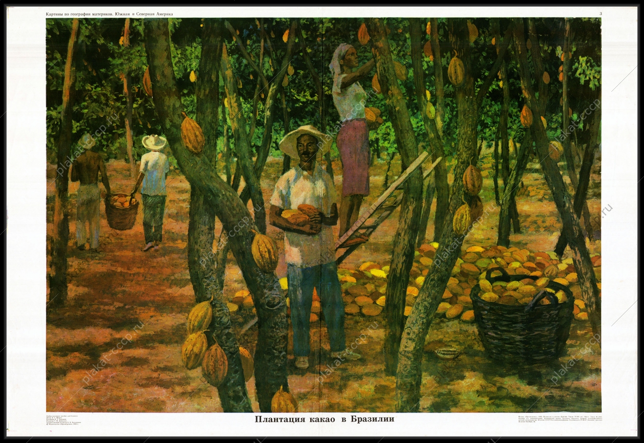 Оригинальный плакат СССР плантация какао в Бразилии