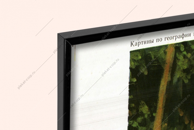 Оригинальный плакат СССР плантация какао в Бразилии