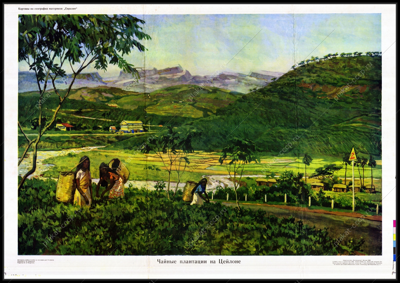 Оригинальный плакат СССР чайные плантации на Цейлоне