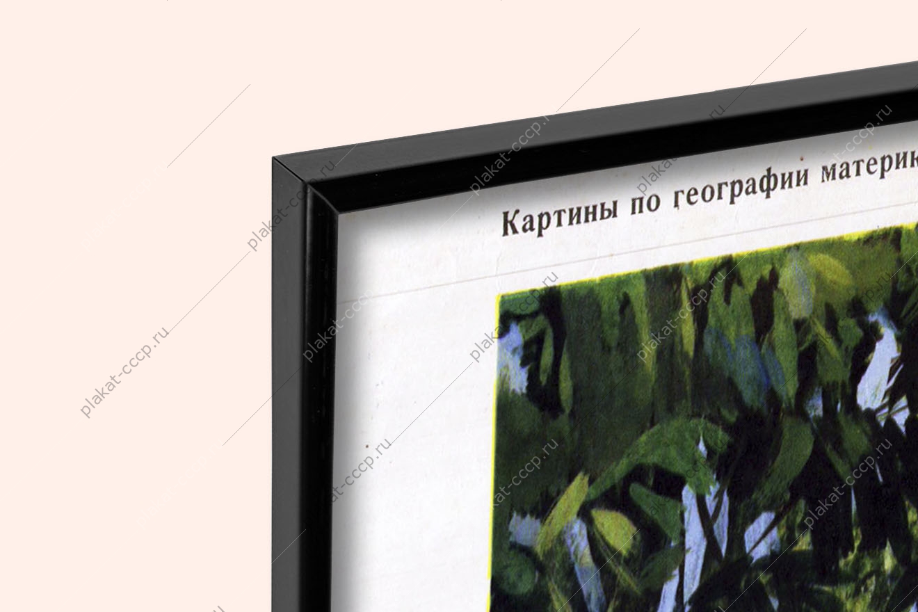 Оригинальный плакат СССР чайные плантации на Цейлоне