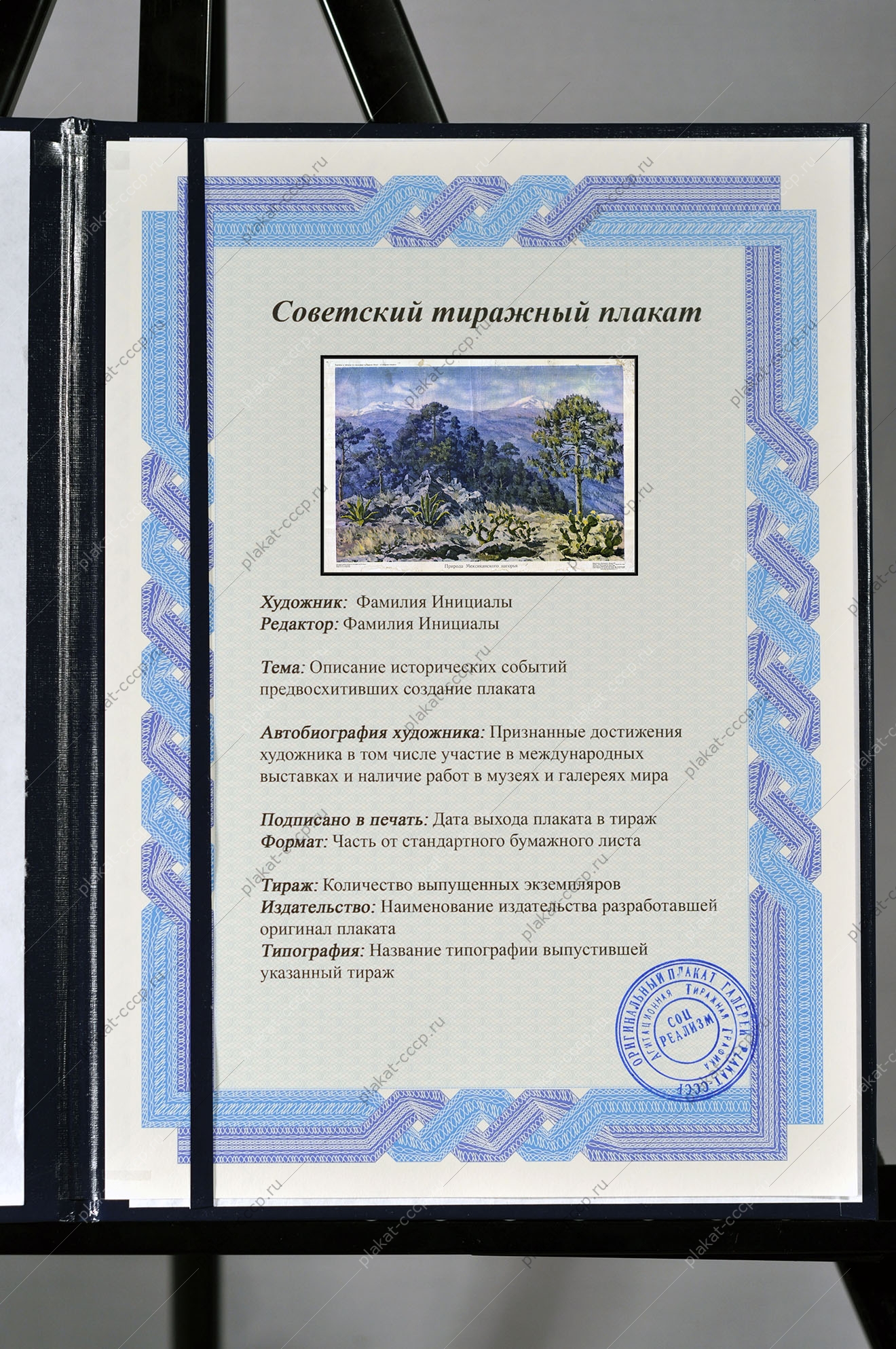 Оригинальный плакат СССР Природа Мексиканского нагорья