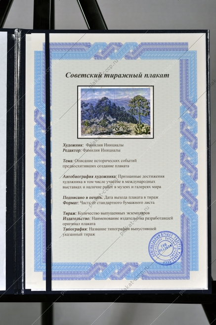Оригинальный плакат СССР Природа Мексиканского нагорья