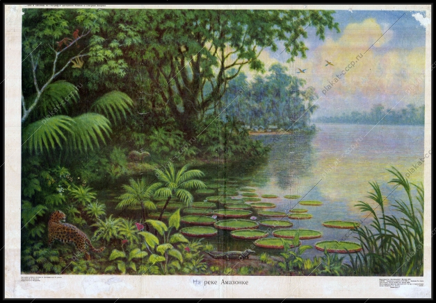 Оригинальный плакат СССР На Амазонке