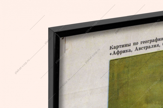 Оригинальный плакат СССР Калахари Африка