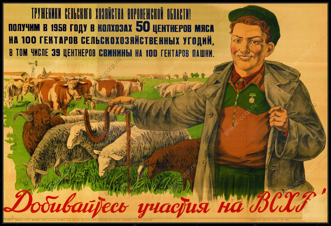 Оригинальный советский плакат добивайтесь участия на ВСХВ овцы бараны животноводство