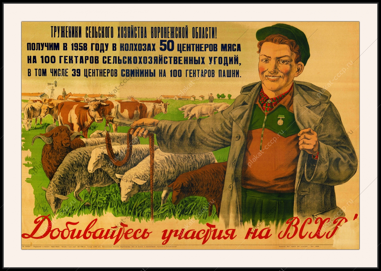 Оригинальный советский плакат добивайтесь участия на ВСХВ овцы бараны животноводство