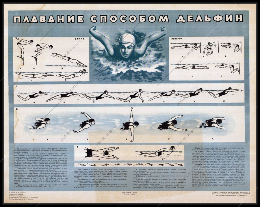 Оригинальный плакат СССР спорт плавание способом Дельфин художник И А Дергелев 1955