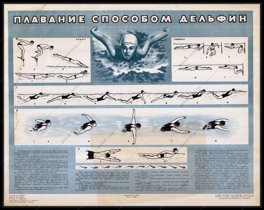 Оригинальный плакат СССР спорт плавание способом Дельфин художник И А Дергелев 1955