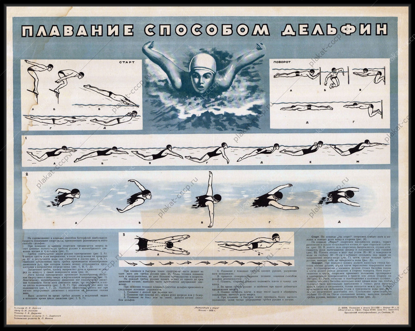 Оригинальный плакат СССР спорт плавание способом Дельфин художник И А Дергелев 1955