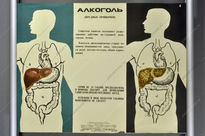 Оригинальный плакат СССР антиалкогольный советский плакат вред алкоголя художники Н Л Богачева В Л Колотовкин К И Невлер Б И Энский 1970