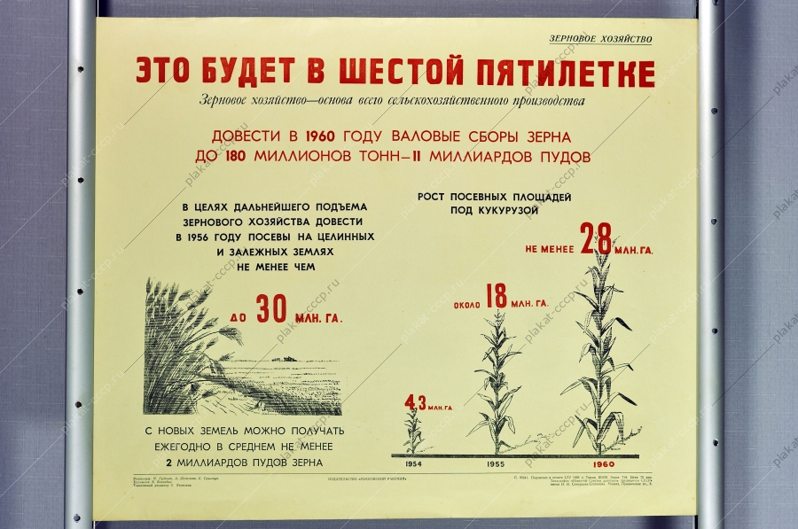 Оригинальный плакат СССР сбор зерна кукурузы сельскохозяйственное производство зерновое хозяйство пятилетка 1956