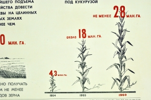 Оригинальный плакат СССР сбор зерна кукурузы сельскохозяйственное производство зерновое хозяйство пятилетка 1956