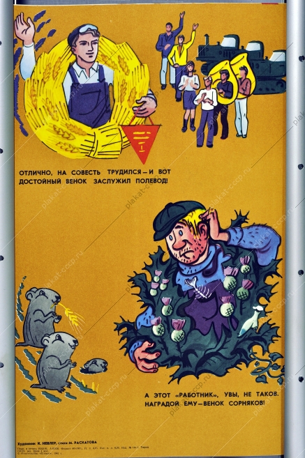 Оригинальный плакат СССР карикатура соцсоревнование социалистическое труд полевод сельское хозяйство 1981